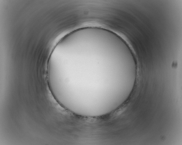 X0000112510815200909141158