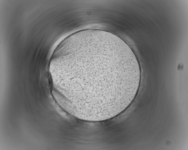 X0000112510816200909141158