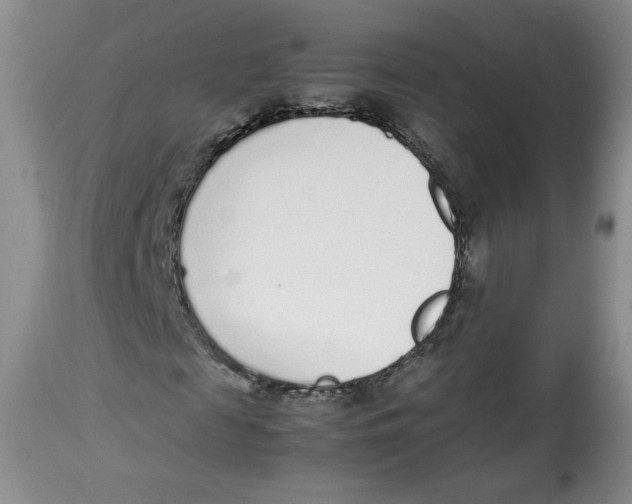 X0000112510817200909141157