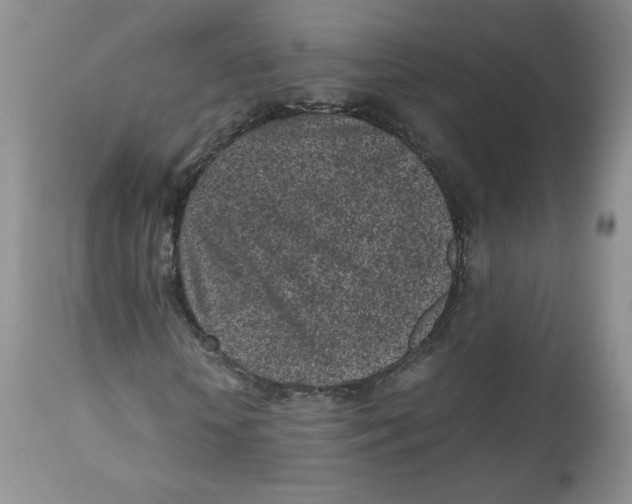 X0000112510818200909141157