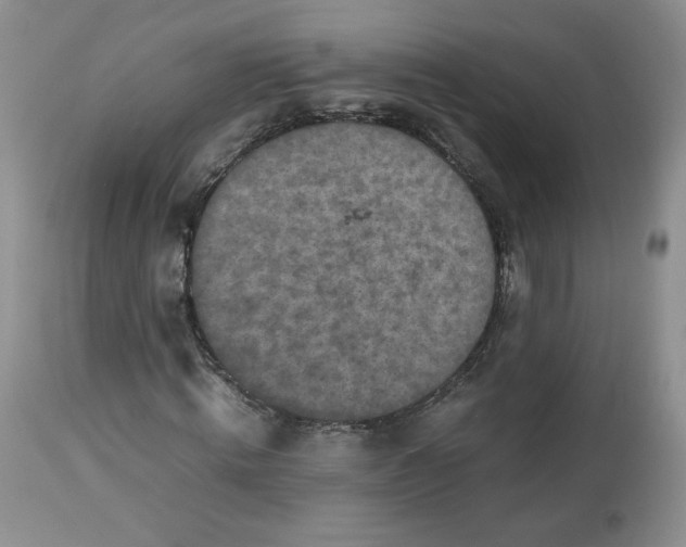 X0000112510820200909141157