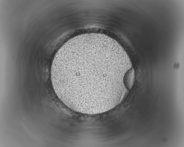 X0000112510821200909141157