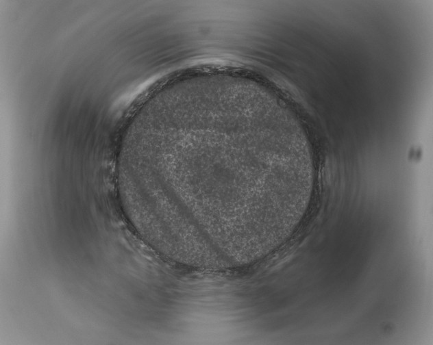 X0000112510822200909141157