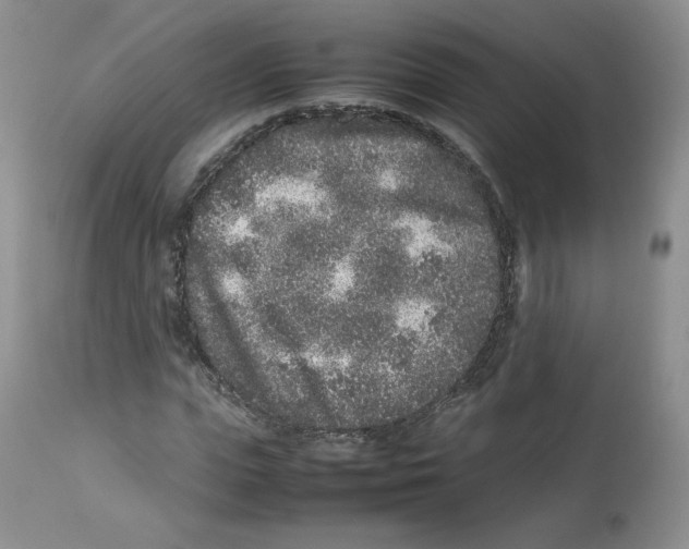 X0000112510823200909141157