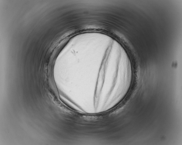 X0000112510825200909141157