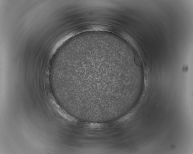 X0000112510827200909141157