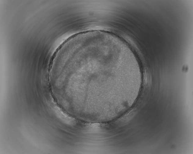 X0000112510828200909141157