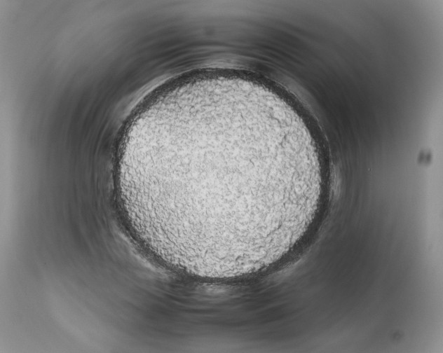 X0000112510829200909141157