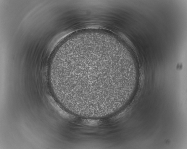 X0000112510831200909141157