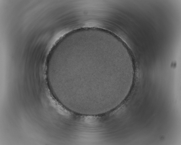 X0000112510832200909141157