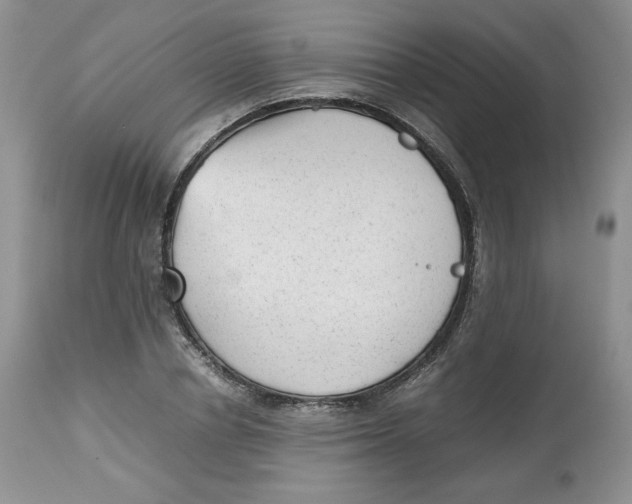 X0000112510834200909141157