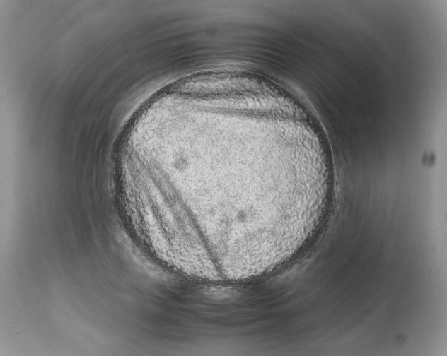 X0000112510835200909141157