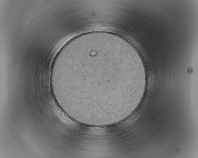 X0000112510836200909141157