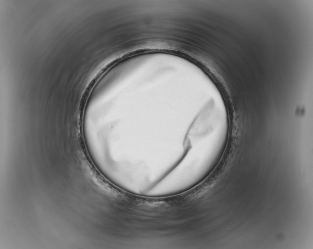 X0000112510837200909141157