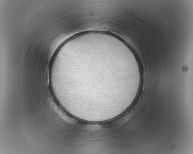 X0000112510838200909141157