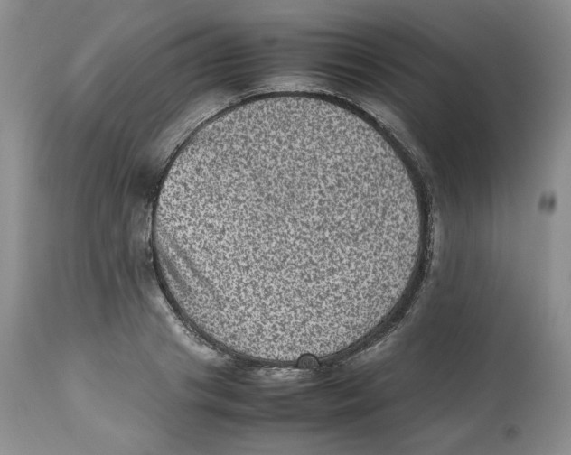 X0000112510841200909141157