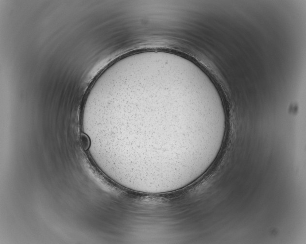 X0000112510842200909141157