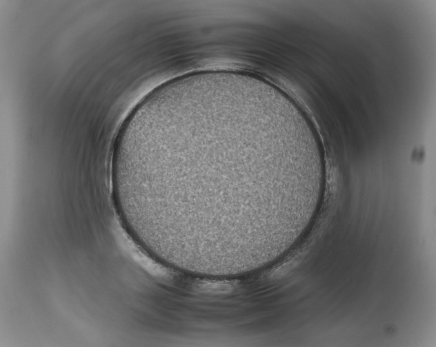 X0000112510843200909141157