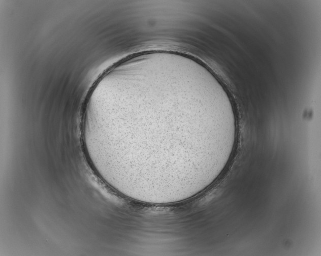 X0000112510846200909141158