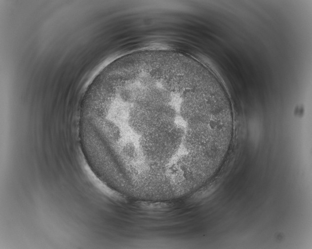 X0000112510851200909141158