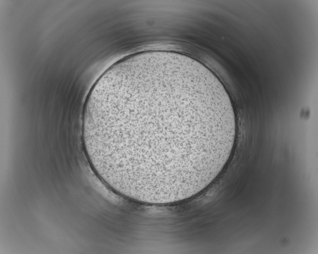 X0000112510852200909141158