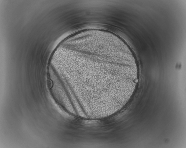 X0000112510853200909141158