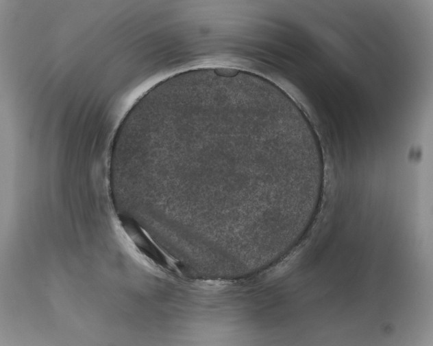 X0000112510854200909141158