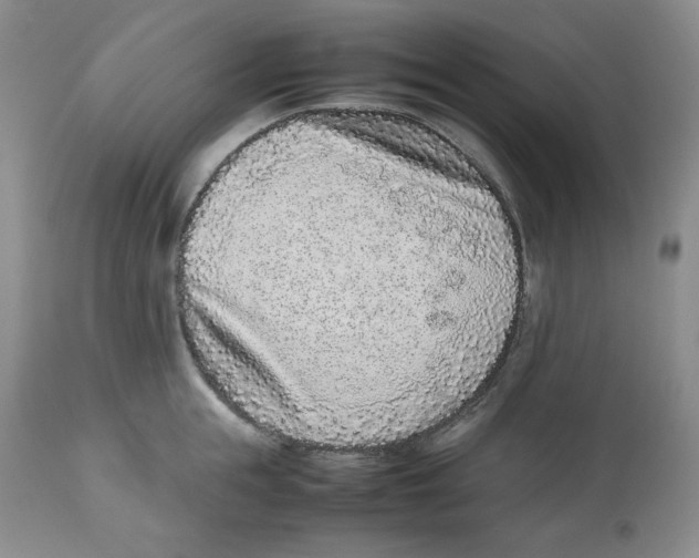 X0000112510855200909141158