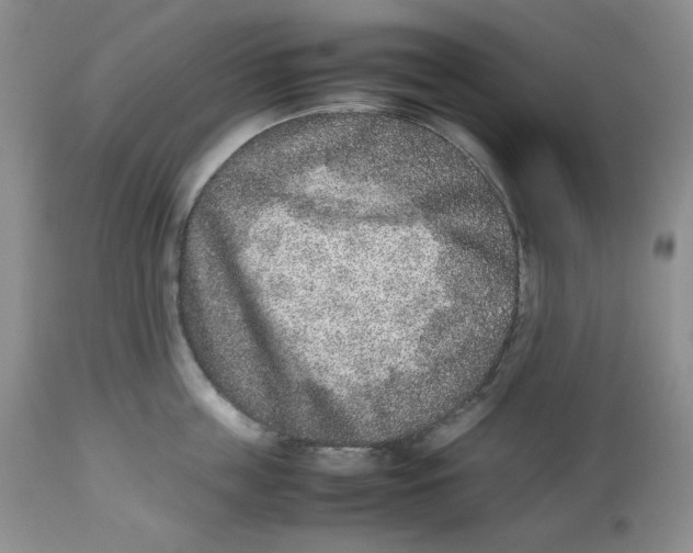 X0000112510859200909141158