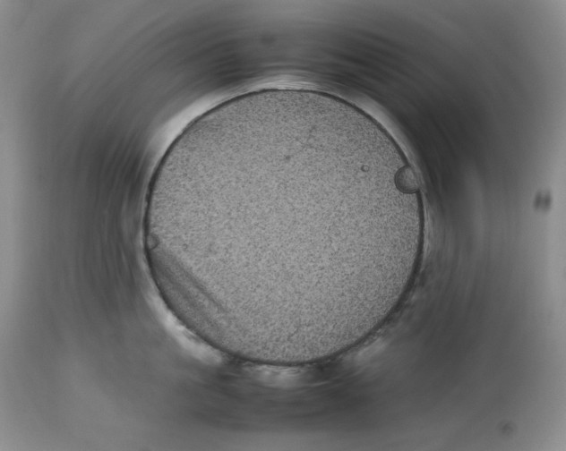 X0000112510861200909141158