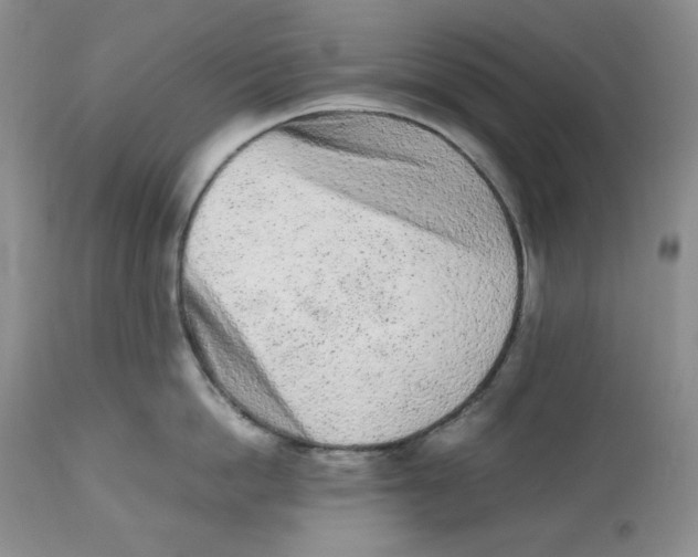 X0000112510862200909141158