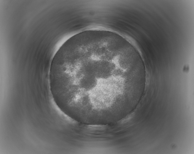 X0000112510863200909141158