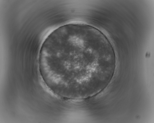 X0000112510864200909141158