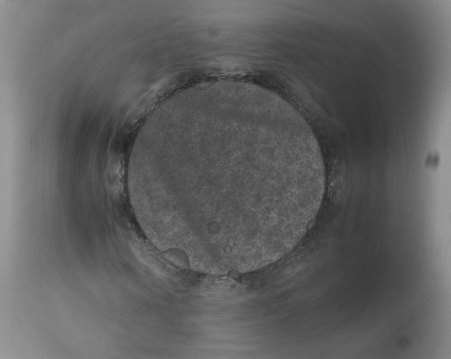 X0000112510866200909141157