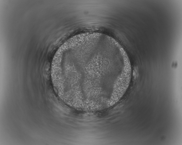 X0000112510867200909141157