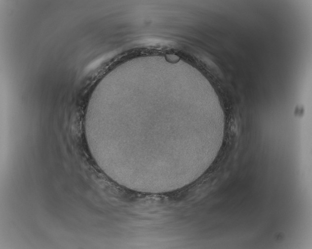 X0000112510869200909141157