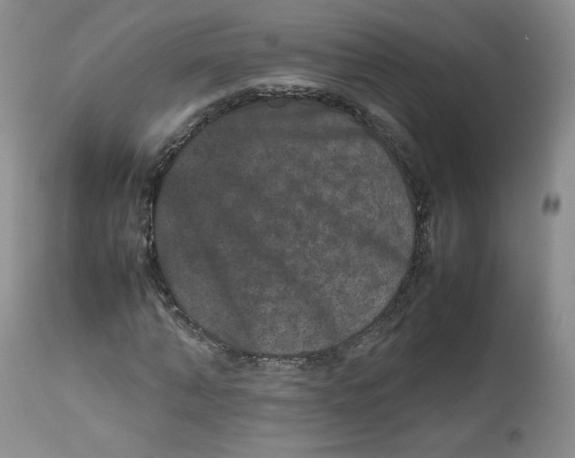 X0000112510870200909141157