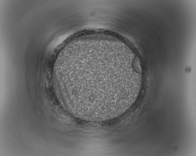 X0000112510871200909141157