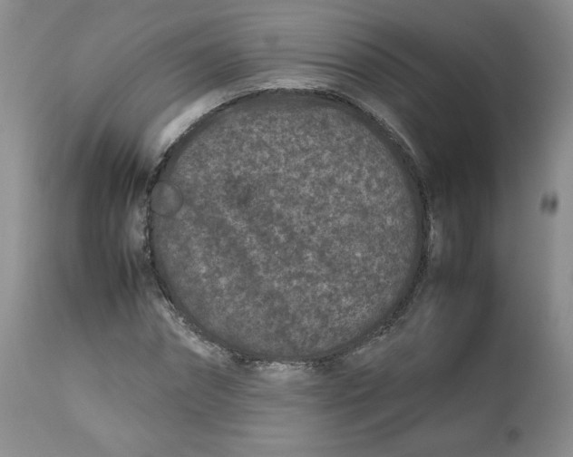 X0000112510874200909141157