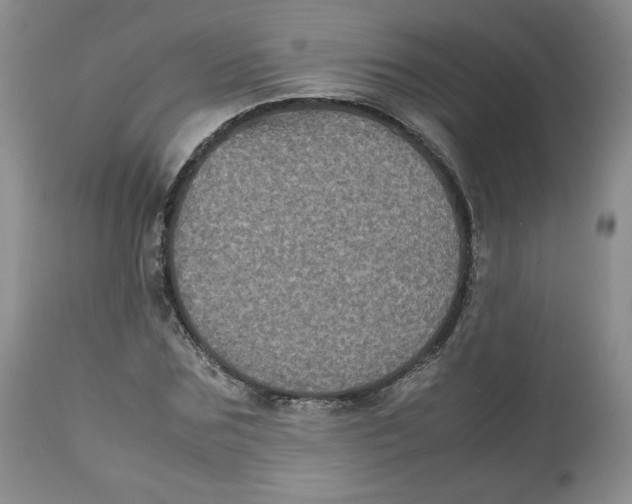 X0000112510875200909141157