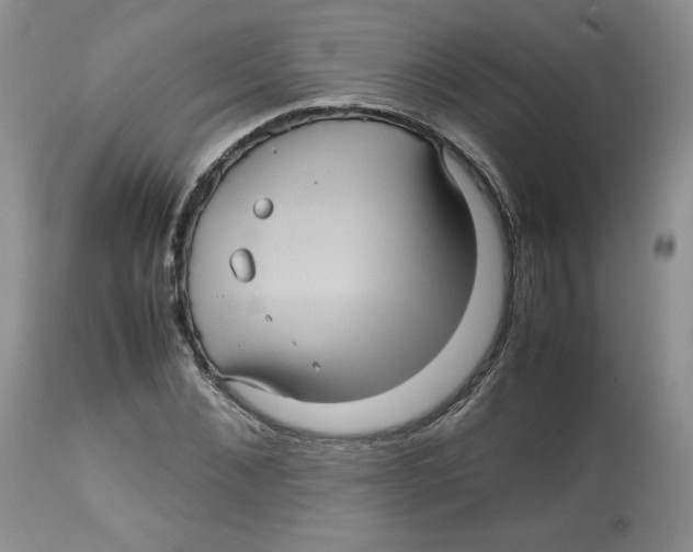 X0000112510876200909141157