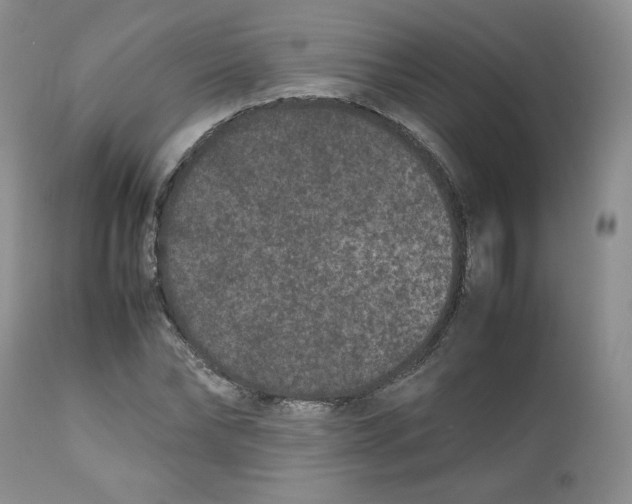 X0000112510878200909141157