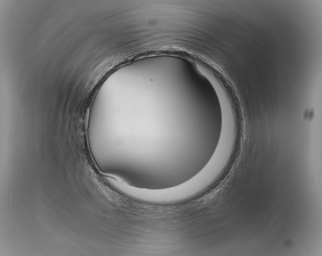 X0000112510881200909141157