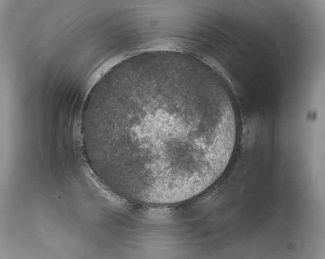 X0000112510882200909141157