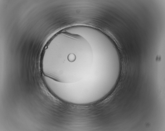 X0000112510884200909141157