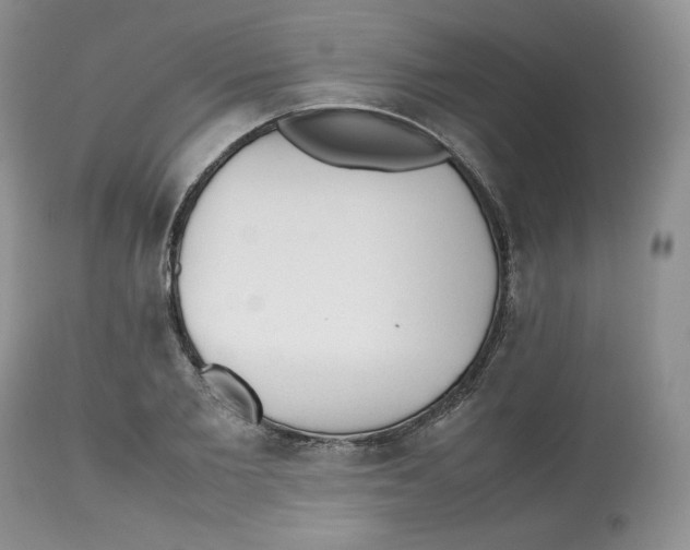 X0000112510885200909141157