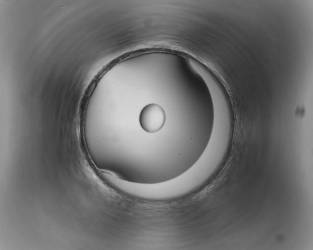 X0000112510888200909141157