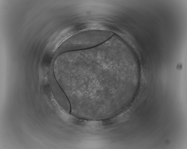 X0000112510889200909141157