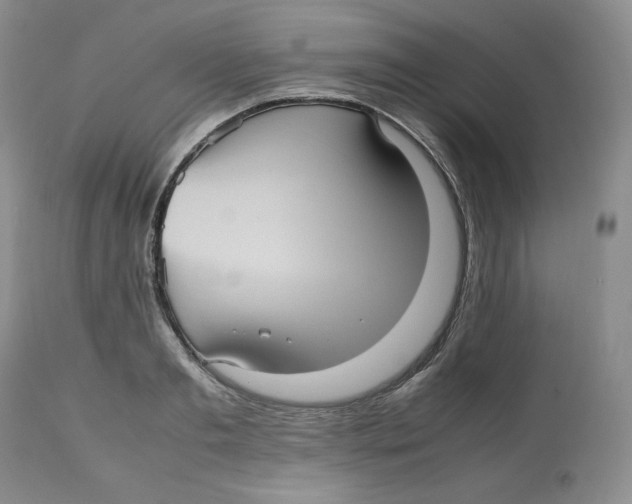 X0000112510893200909141157