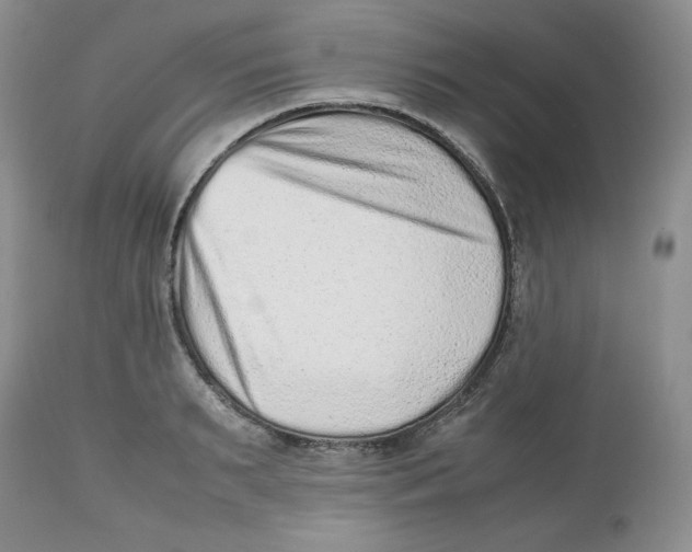 X0000112510895200909141157